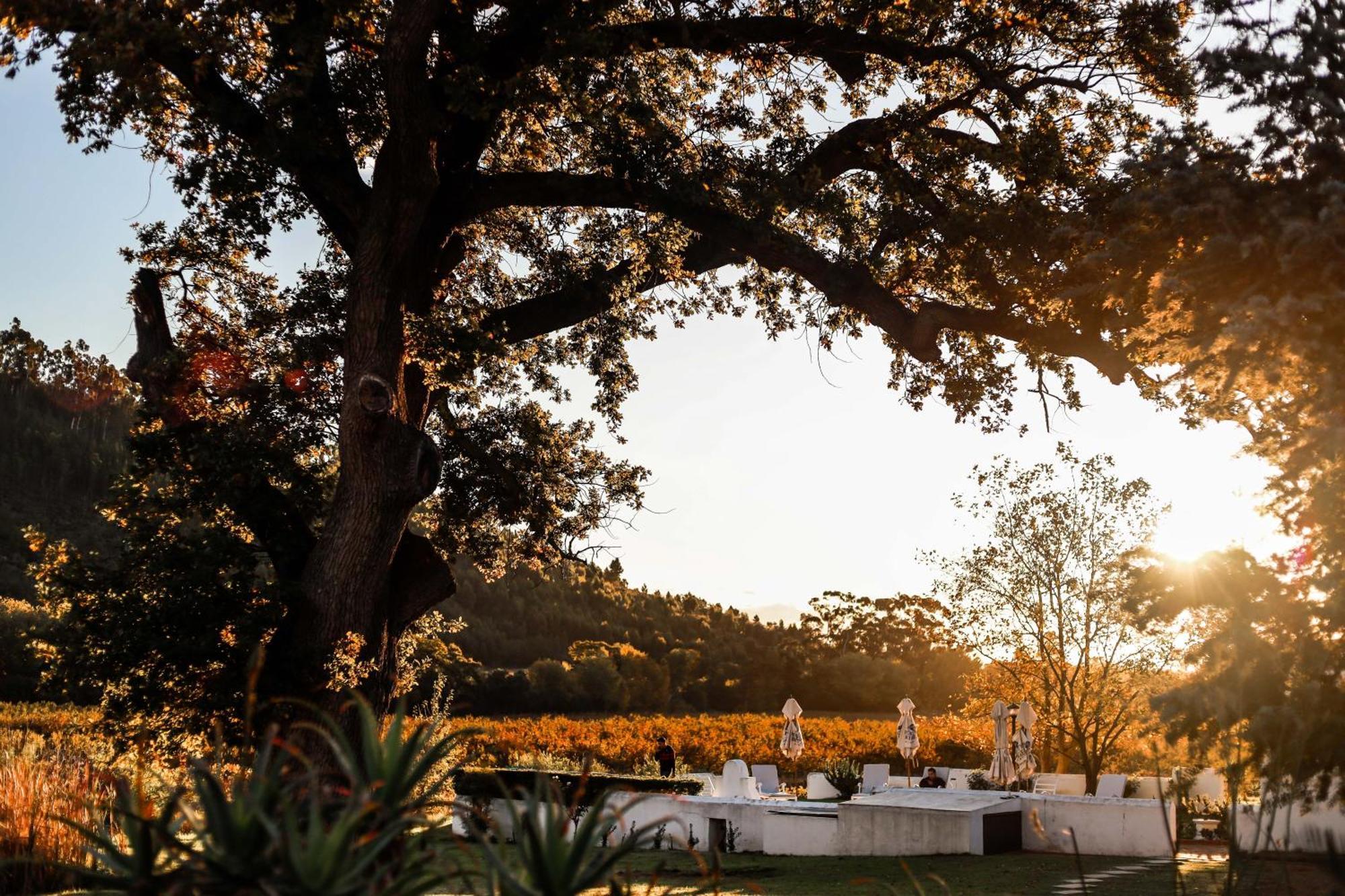 Basse Provence Country House Franschhoek Extérieur photo