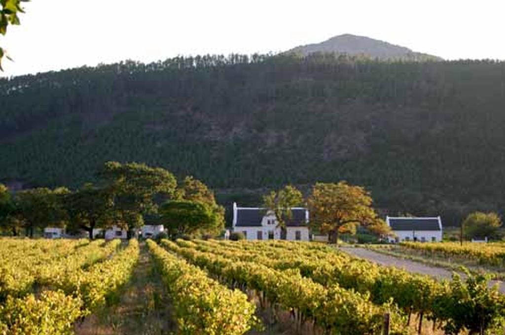 Basse Provence Country House Franschhoek Extérieur photo