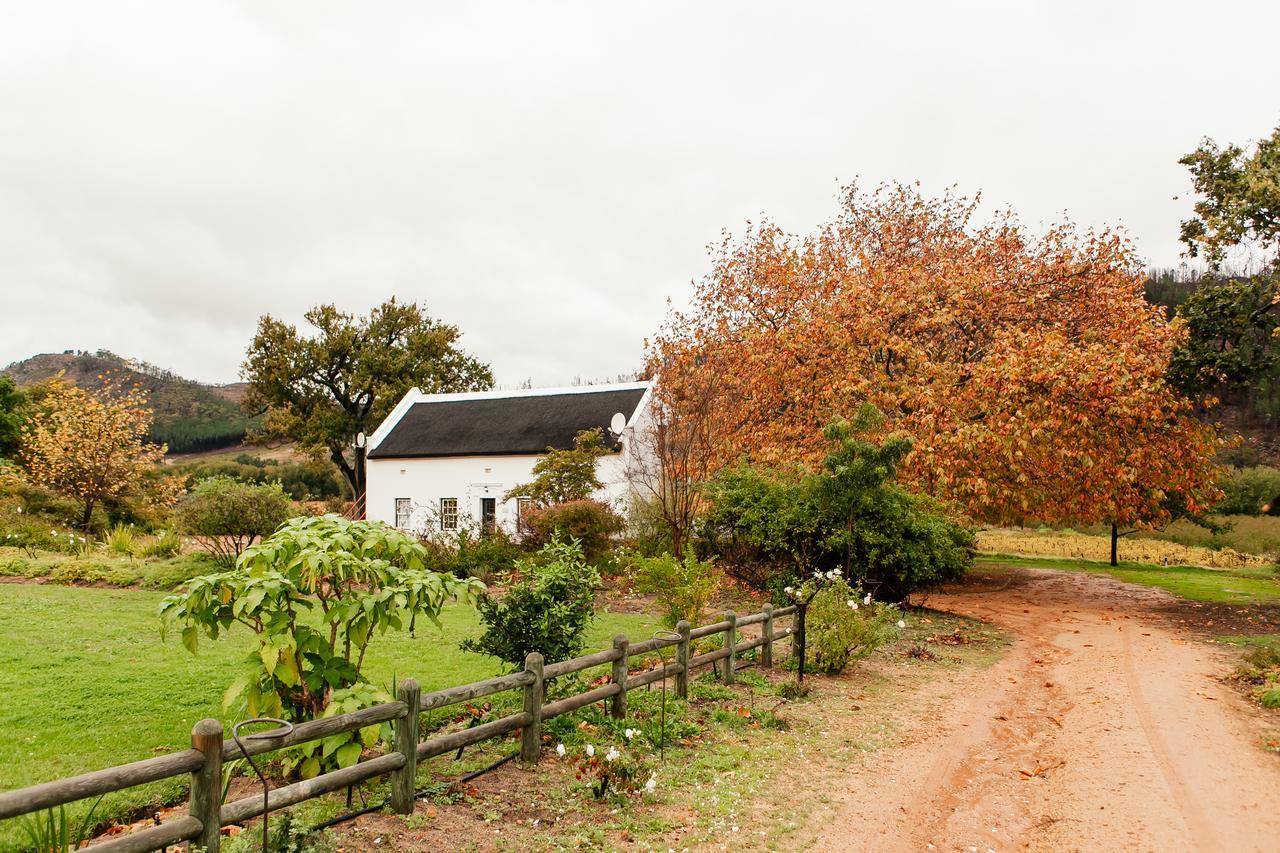 Basse Provence Country House Franschhoek Extérieur photo