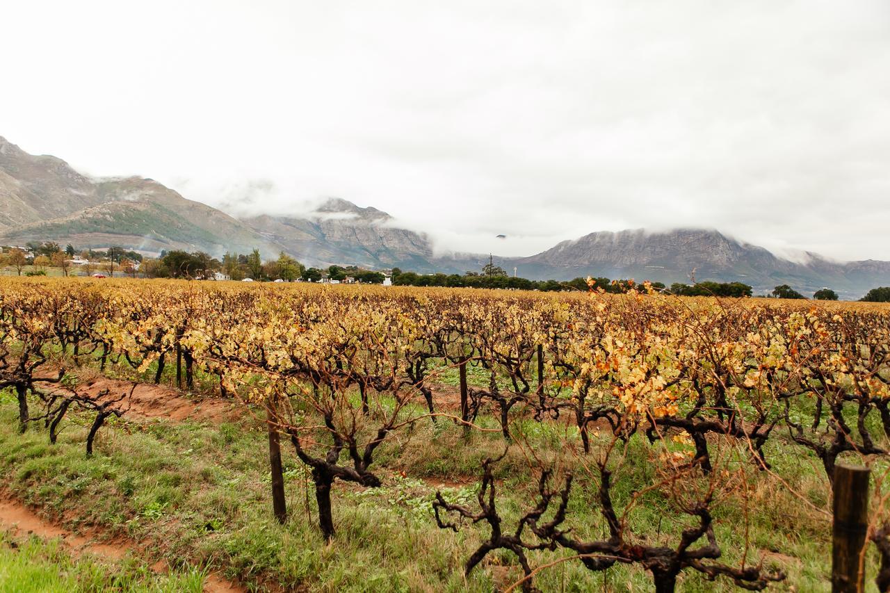 Basse Provence Country House Franschhoek Extérieur photo