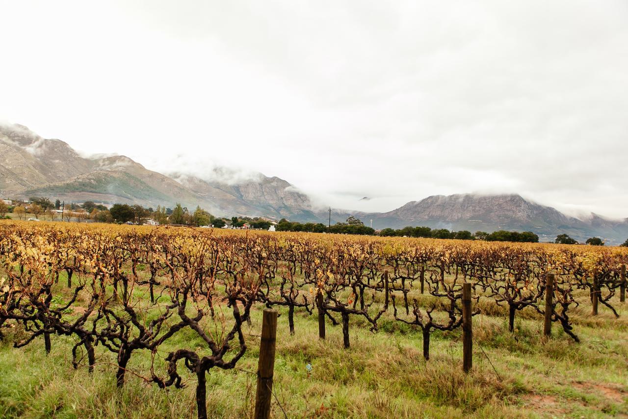 Basse Provence Country House Franschhoek Extérieur photo