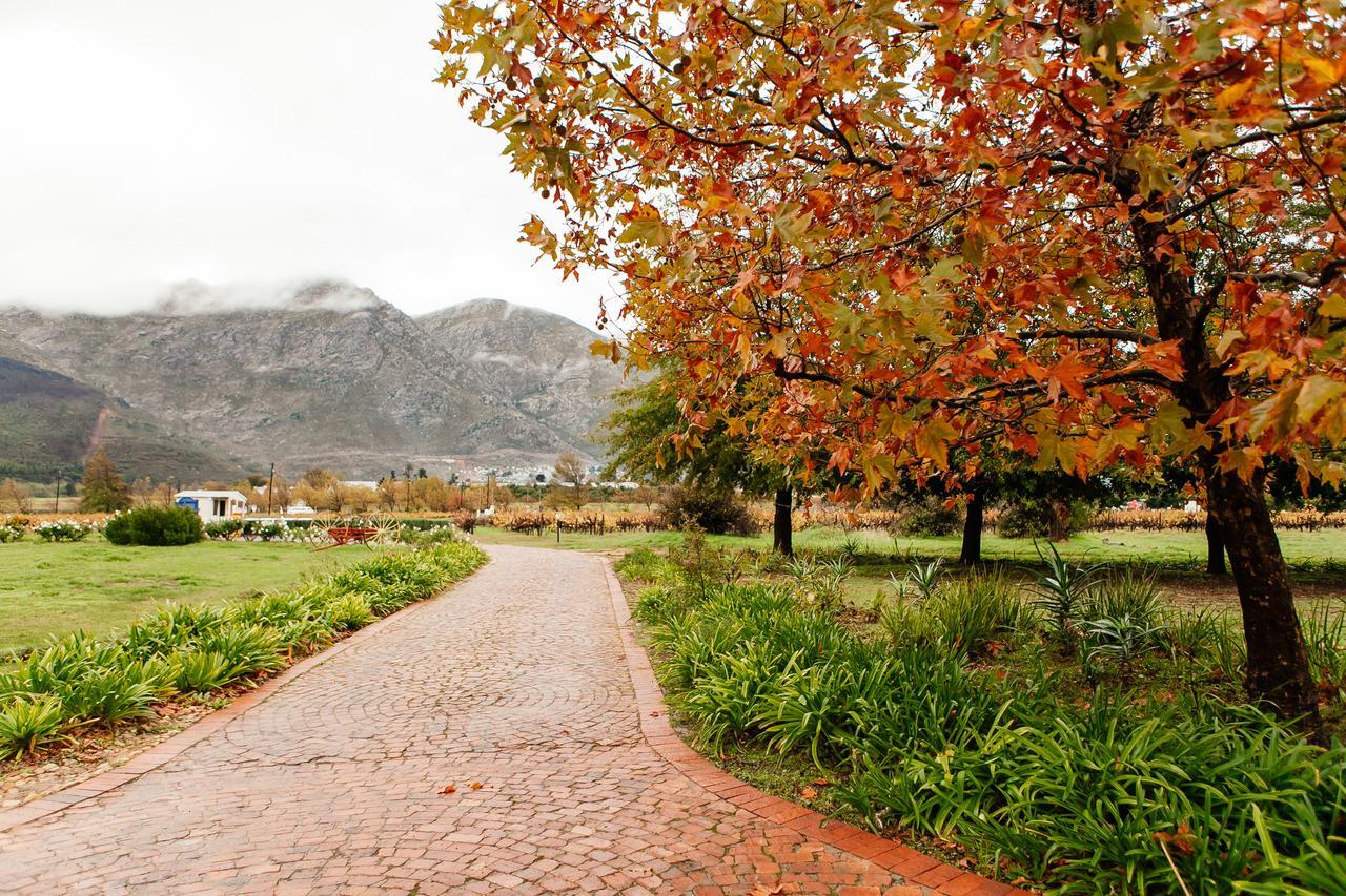 Basse Provence Country House Franschhoek Extérieur photo