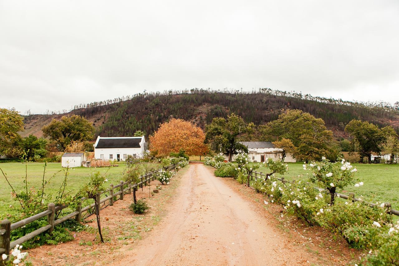 Basse Provence Country House Franschhoek Extérieur photo